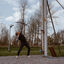 IMG 7165